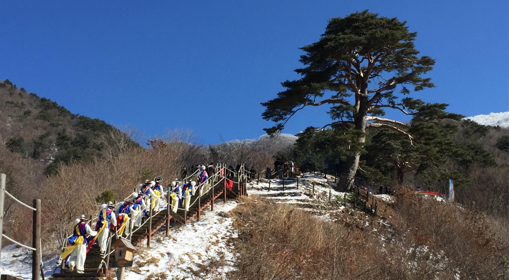 지리산 천년송.jpg