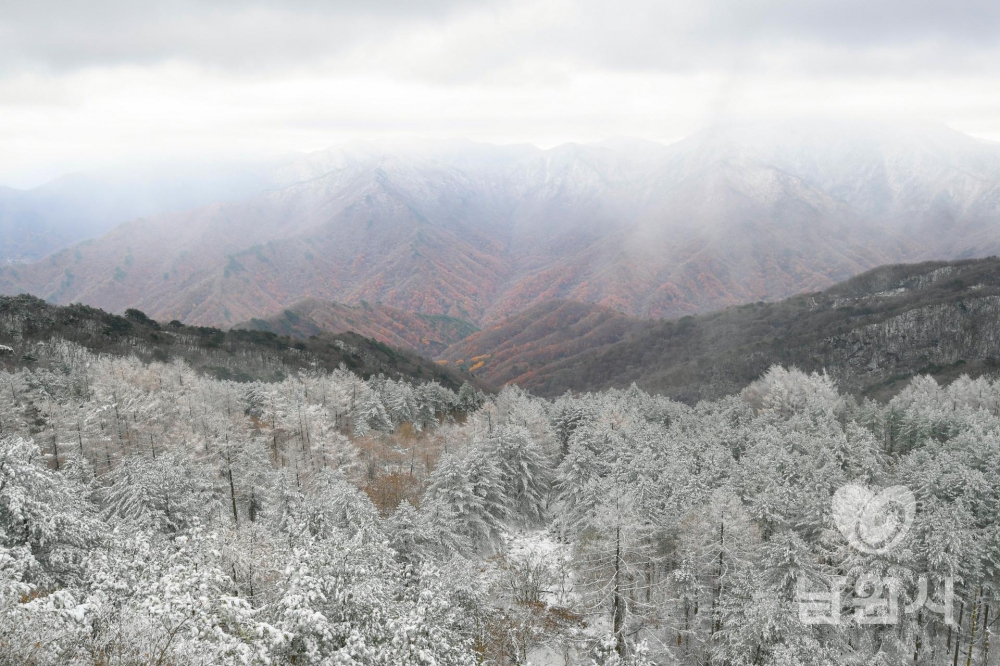 정령치 상고대 1.jpg