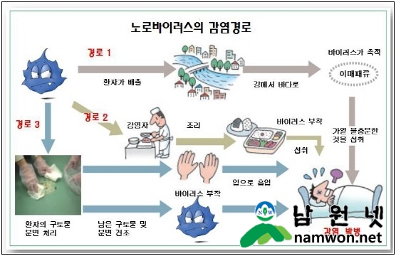 노로바이러스.jpg