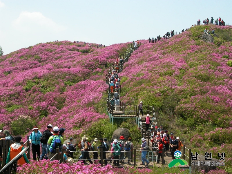 0419 운봉읍 -  제23회 지리산 운봉바래봉 철쭉제로 초대합니다 3.jpg