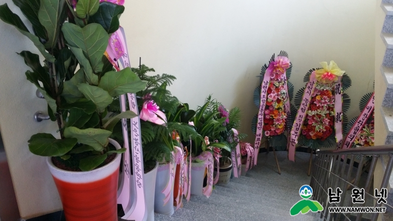 20150323_113445.jpg