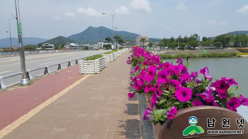 0716 산림과-요천변 승사교 일원 난간화분 설치로 생동감 있는 꽃길조성3.jpg