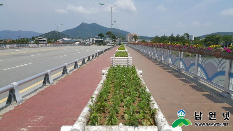 0716 산림과-요천변 승사교 일원 난간화분 설치로 생동감 있는 꽃길조성5.jpg