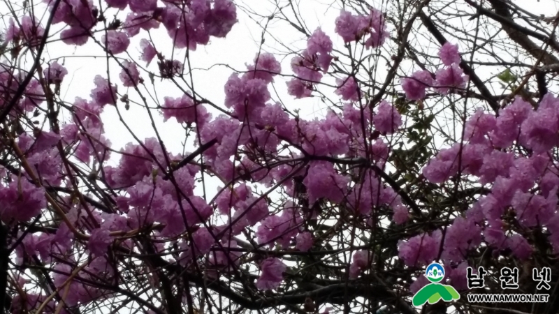 20150331_135707.jpg
