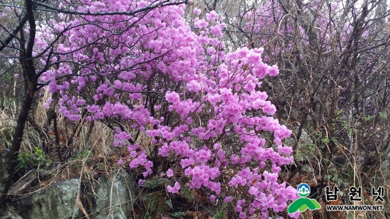 20150331_135534.jpg