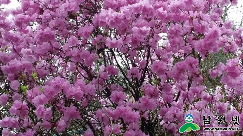20150331_135648.jpg