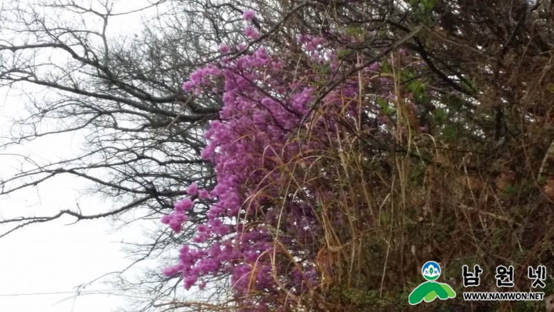 20150331_135603.jpg