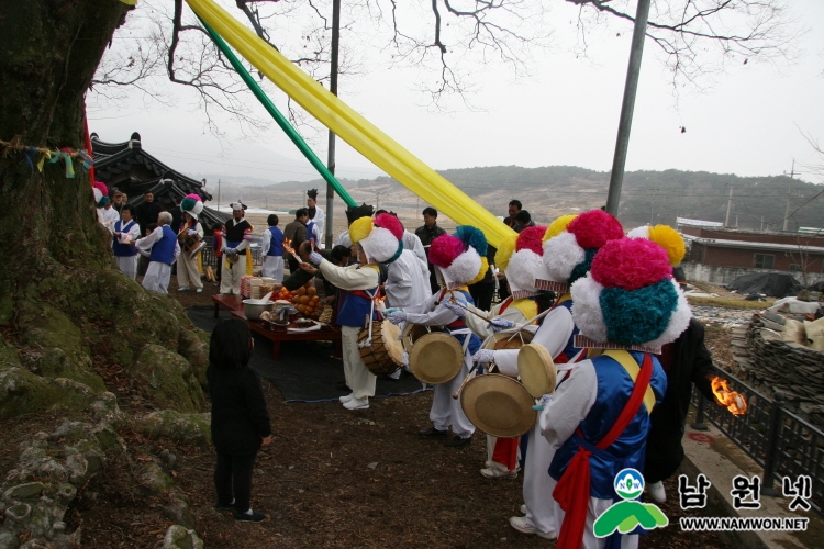 0217 문화관광과 - 쳔연기념물 제281호 남원 진기리 느티나무 당산제 21일(4).JPG