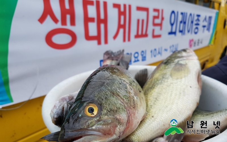 0405환경과-생태계교란 외래어종 퇴치사업1.jpg