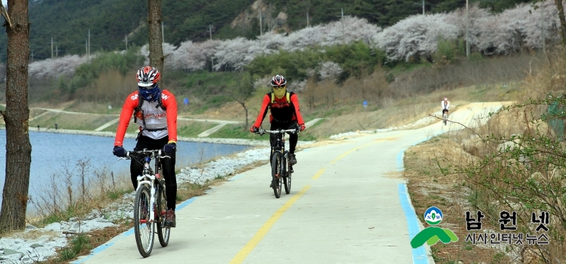 0201교통과-모든 남원시민 자전거 단체보험 혜택 본다1(남원시가 올해 전 시민에게 자전거 단체보험을 가입했다. 사진은 요천벚길을 달리는 라이너들 1..jpg