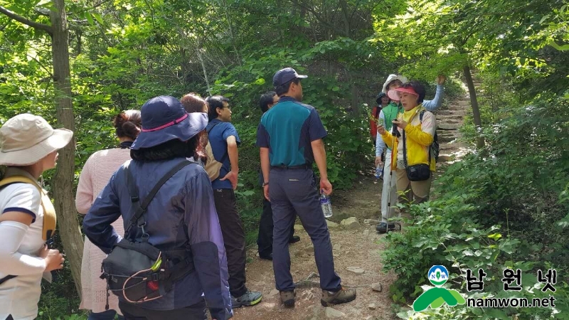 0603 총무과 - 딱딱한 교육은 가라 자연에서 치유하는 숲 체험 탐방 (3).jpg