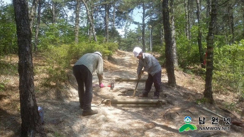 0215 산림과 - 남원시 산림에서 행복 찾고 소득 올린다 4.jpg