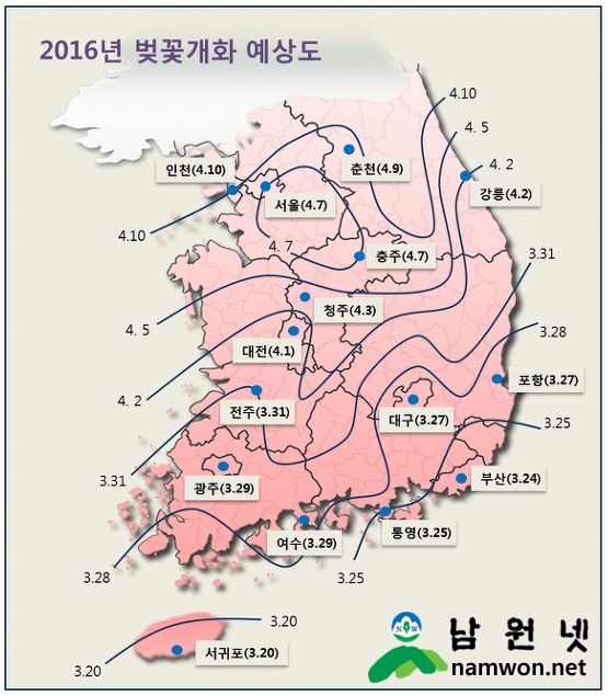 벚꽃1.jpg