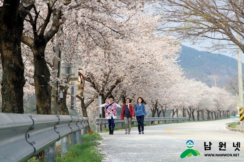 0414 산림과 - 요천강 100리 아름다운 숲길로 변신(산동변)3_크기변경.jpg