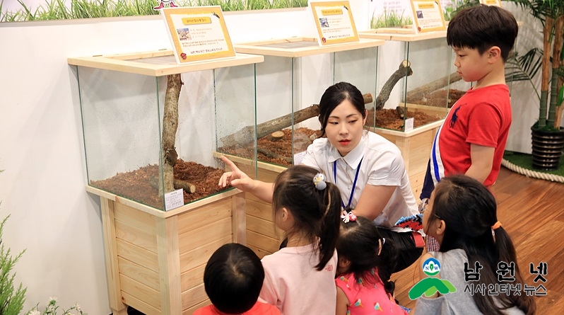 0711산림과-반딧불이랑 떠나는 세계곤충여행2.jpg