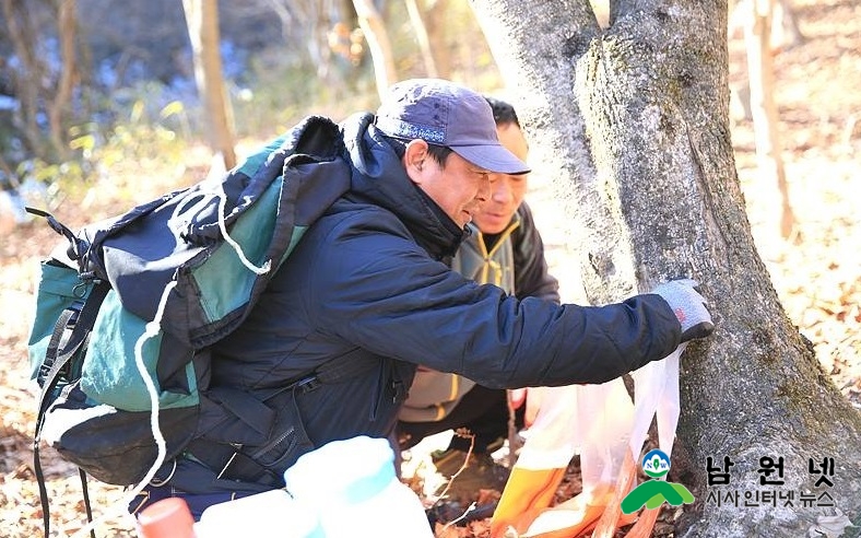 고로쇠.jpg