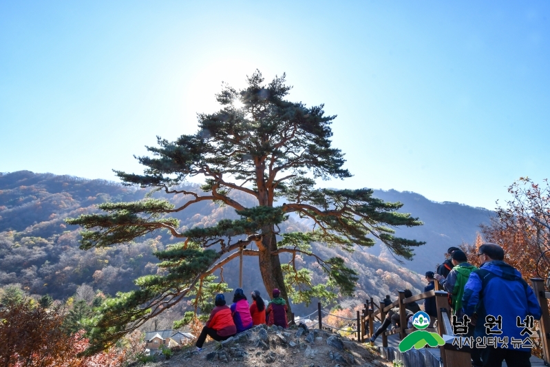 윤동민_지리산_천년송.jpg