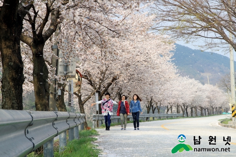 1126%20산림과%20-%20요천강%20100리%20숲길%20조성사업%20마무리%20공사%20한창(참고사진%20산동변).jpg