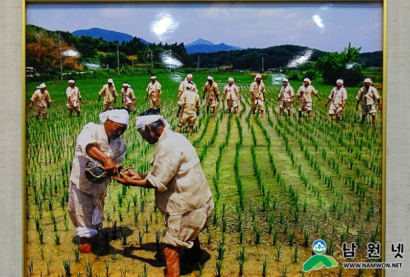 금상.jpg