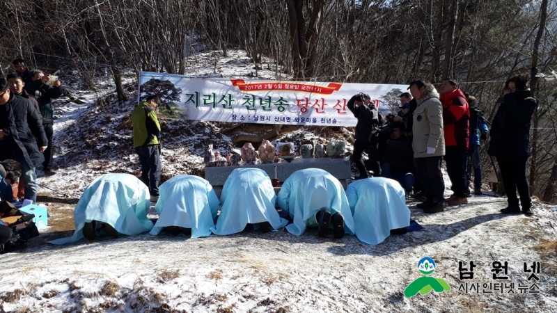 0220산내면-천연기념물 제424호 당산제 열려3.jpg