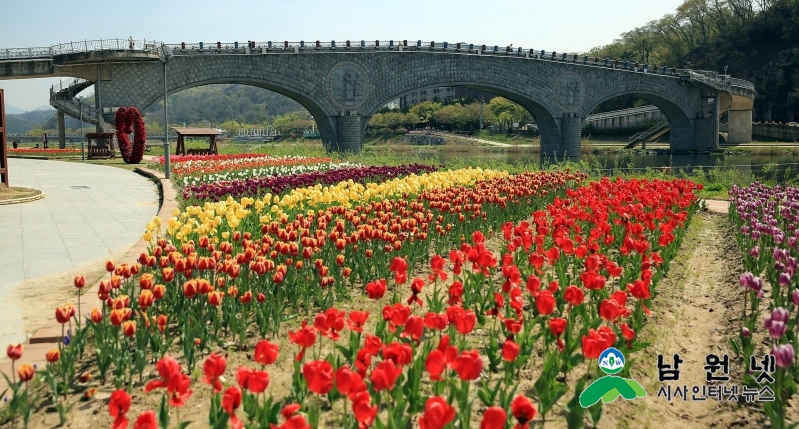 0418산림과-요천변 꽃속에서 추억의 사진을4.jpg