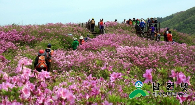 크기변환_0419운봉읍-제24회 지리산바래봉 철쭉제2.jpg