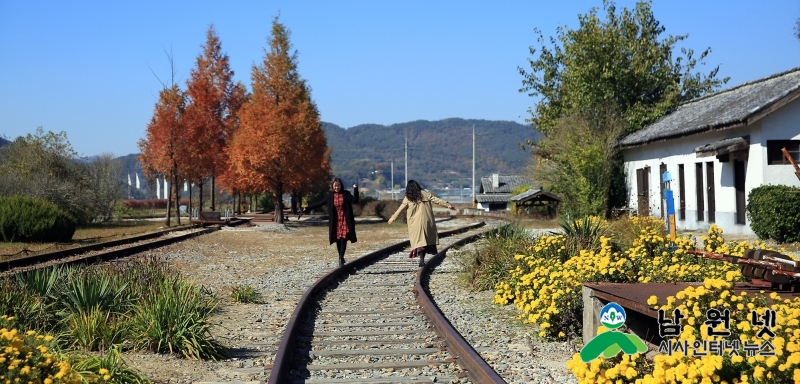 1105농정과-가을향 물씬 국화꽃이 반겨주는 서도역으로 오세요2.jpg