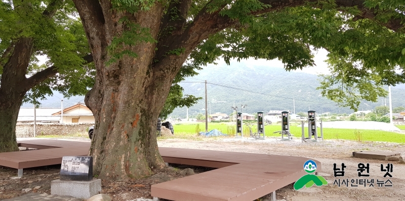 0626산림과-보호수 쉼터 조성사업 추진2.jpg
