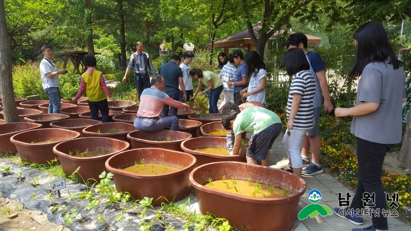 0524축산과-서울 학교 친환경 벼 모내기 체험행사 진행1.jpg