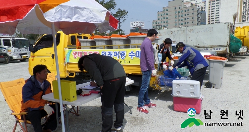 0415 환경과 - 생태계교란 외래어종 퇴치(외래어종 수매장면).jpg