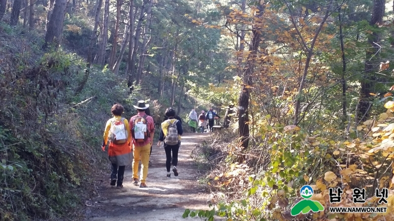 20141025_114231.jpg