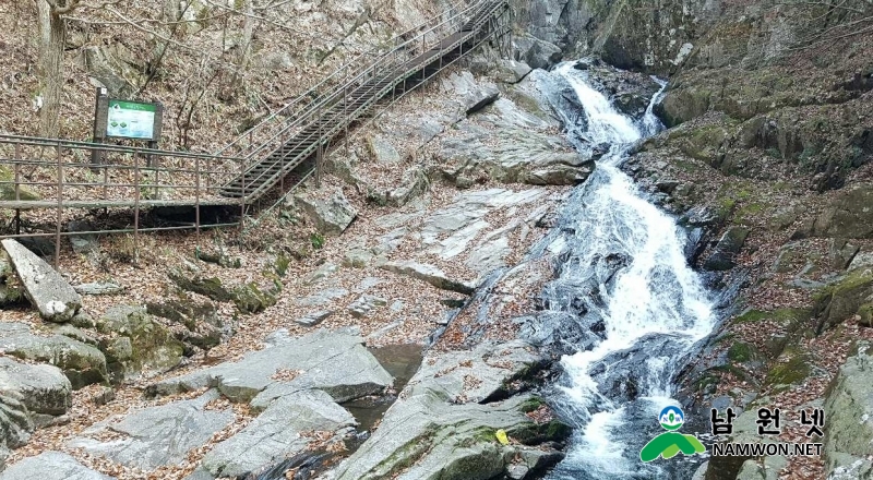 1125 산림과 - 국가산림문화자산 지정 4.jpg
