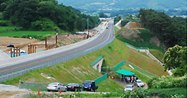 88.jpg