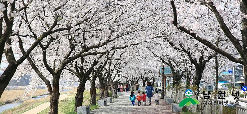 0320홍보전산과-남원에서봄과함께하는꽃의향연1.jpg