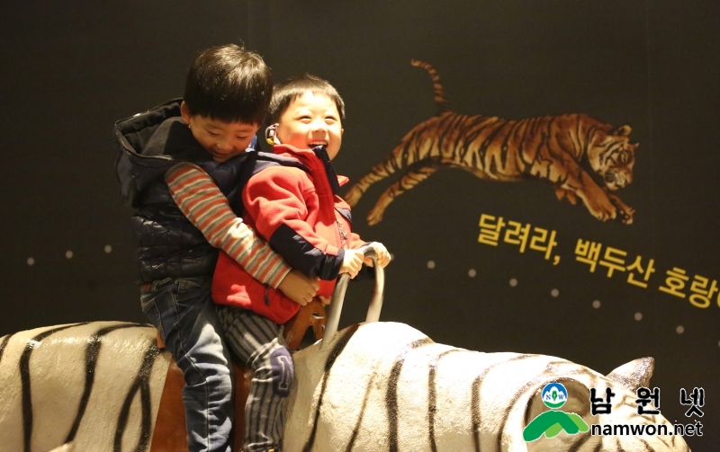 0426 산림과 - 백두대간 생태교육장 전시관 26일부터 정식 운영(호랑이라이더 타고 있는 아이들).JPG