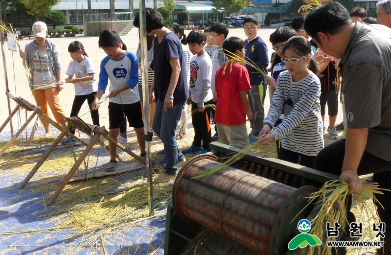 1008 축산과 - 서울 학교방문 친환경 벼 수확체험 최고 인기 (4).JPG