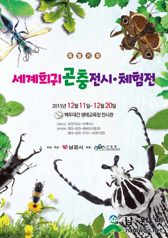 1208 산림과 - 백두대간생태교육장 세계희귀곤충전시 및 체험전 (1).jpg