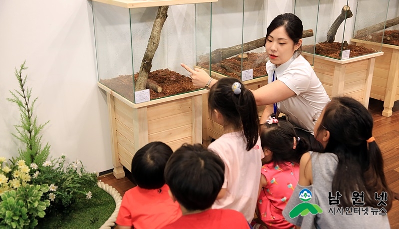 0907 산림과 - 2017 여름방학 세계희귀곤충 특별전 성료 2.jpg