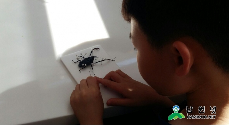 0615 산림과 - 백두대간생태교육장 체험프로그램 인기(곤충표본만들기) (1).jpg