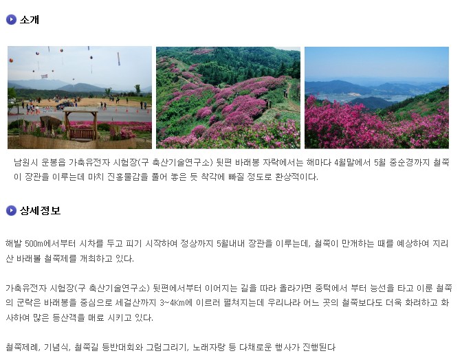 바래봉철쭉제1.jpg