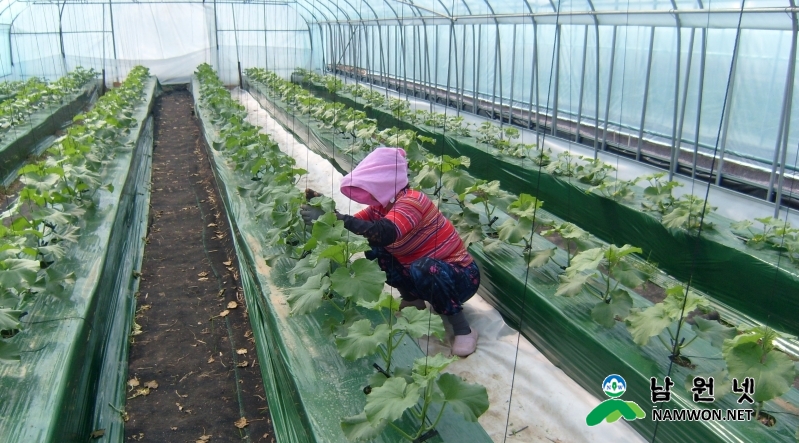 0208 농정과 - 출산여성 농가도우미 지원사업 2.JPG