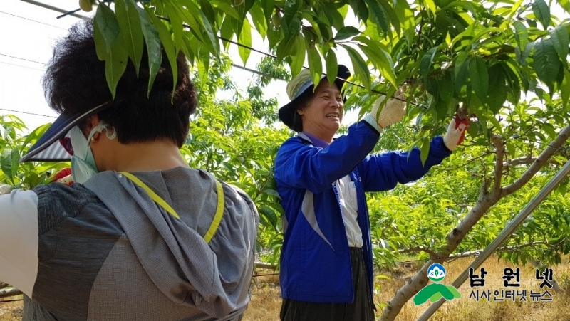 0520수지면,시민소통실-남원시 일손도 돕기 현장소통도 하고2.jpg