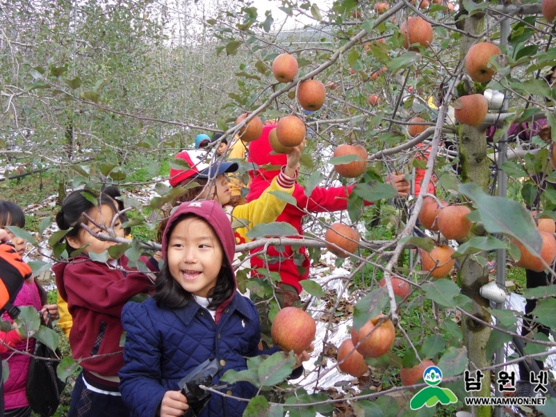 0318 축산과 - 친환경농업 경쟁력 육성으로 잘사는 복지농촌 만든다3.JPG