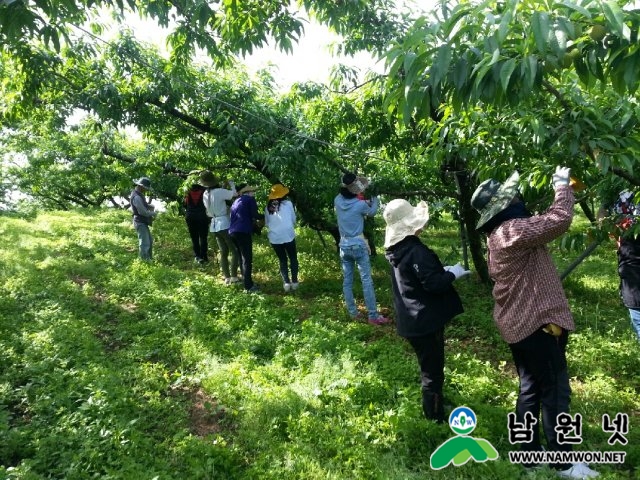 0504 농촌일손돕기 추진단1.jpg
