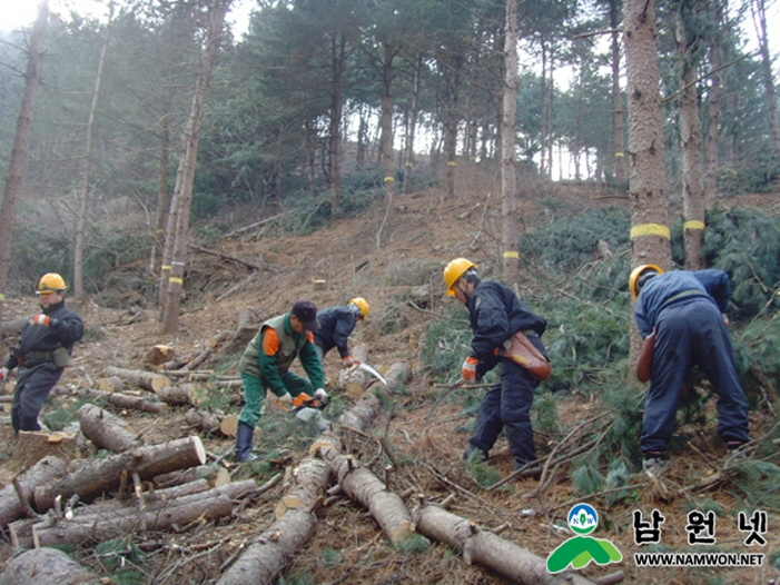 0410 산림과 - 2015년 숲가꾸기사업 28억원 투입해 1900ha 임야 가꾼다2.jpg