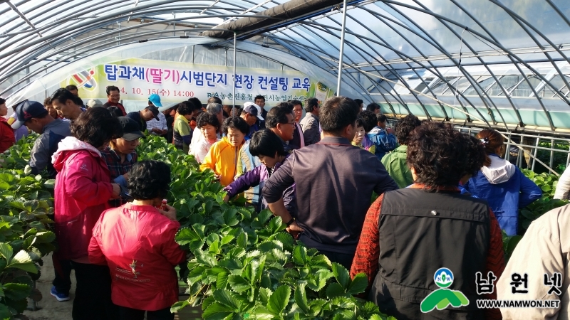 0805 현장지원과 - 최고품질 과채 생산기술 확대보급을 위한 현장연계형 교육1.jpg
