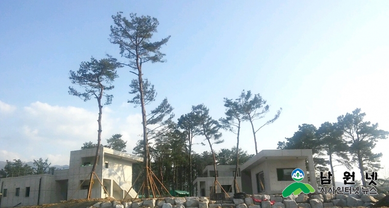 0504 산림과 - 기증 소나무 활용 도시숲 조성사업 추진(에코롯지 조성지 내).jpg