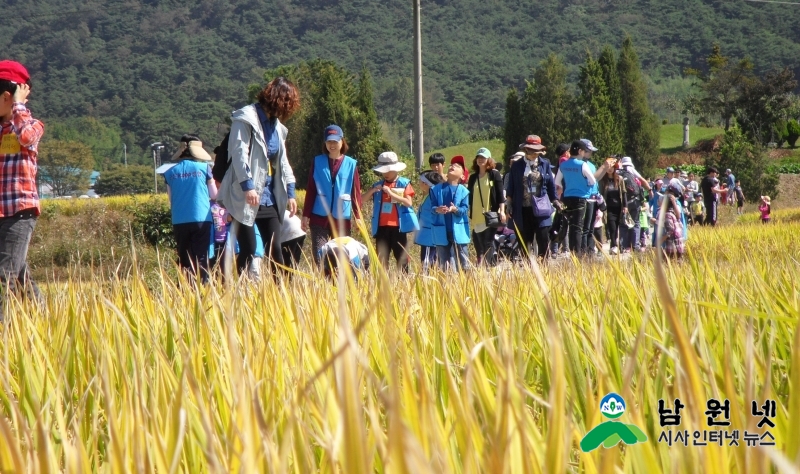 0315 농정과 - 2017년 쌀·밭직불제사업 신청 받습니다(친환경쌀체험).JPG