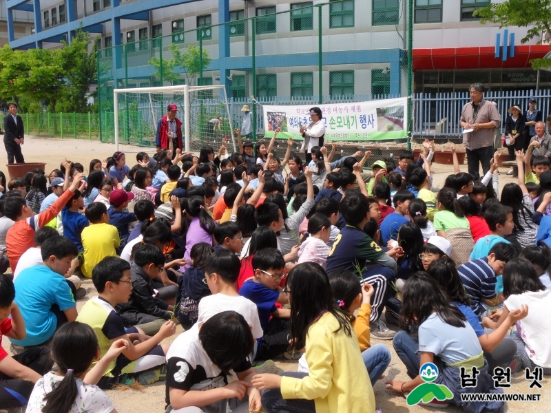 0515 축산과 - 서울 학교에서 진행하는 친환경 모내기체험 1.JPG