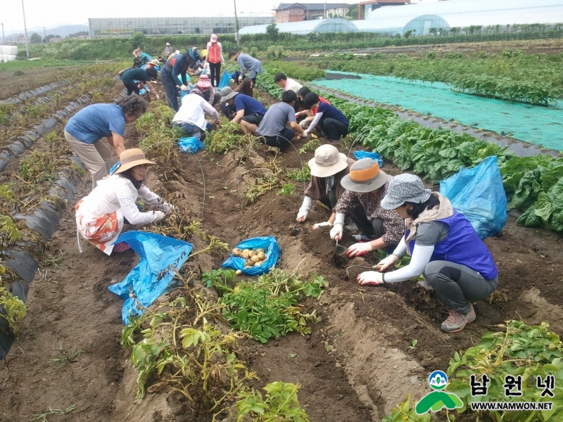 0629 원예허브과 - 허브체험관광농원 매월 마지막주 토요일 다양한 행사 추진2.jpg